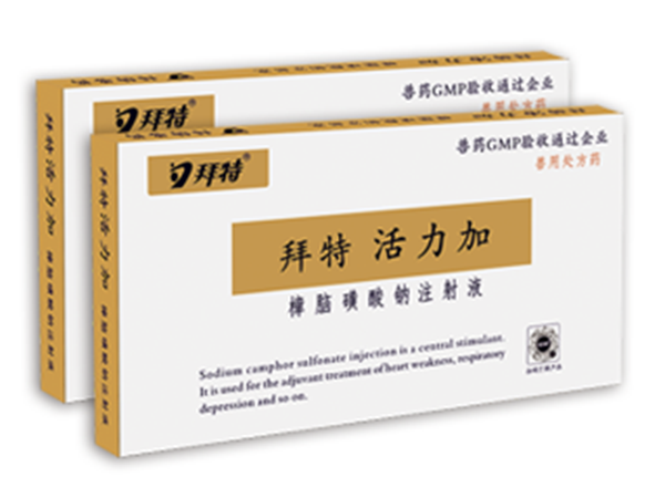 j9九游国际真人活力加（樟脑磺酸钠注射液）